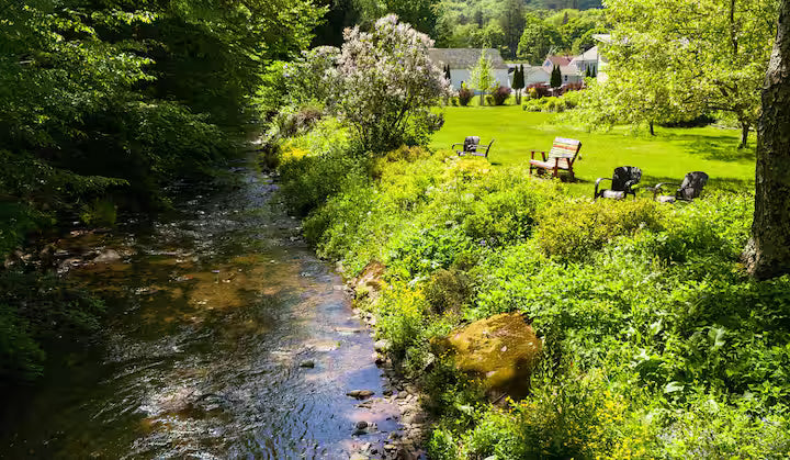Premium King Suite (Private Bath)